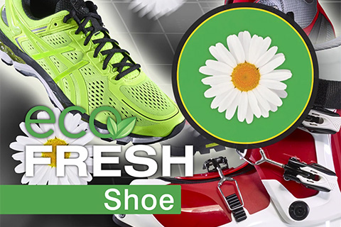 Eco Fresh Schuhe Sportschuhe und Skischuhe mit Schriftzug "Eco Fresh Shoe" und einer Gänseblümchen-Grafik.